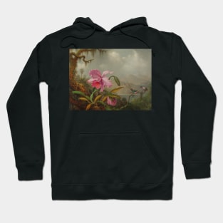 Orchids And Hummingbirds by Martin Johnson Heade Hoodie